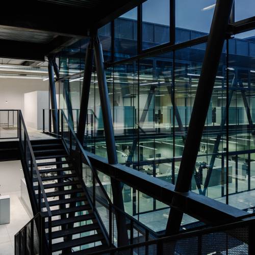 TopTaglio-GoldenGoose-098